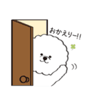 ふわふわビション（個別スタンプ：12）