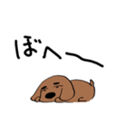 〇束ゲヲスミンと父犬（個別スタンプ：37）