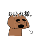 〇束ゲヲスミンと父犬（個別スタンプ：38）