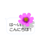 スマホの上の花と風（個別スタンプ：10）