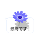 スマホの上の花と風（個別スタンプ：19）