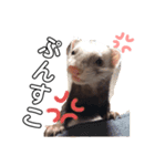れったくんすたんぷ（個別スタンプ：7）