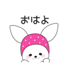 ニンジンよりお金が好きなうさぎ 2（個別スタンプ：13）