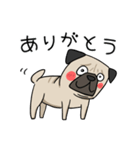 犬語ずかん【パグ編】（個別スタンプ：3）