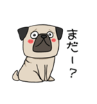 犬語ずかん【パグ編】（個別スタンプ：13）