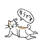 まったりごろごろ日本猫3（個別スタンプ：1）
