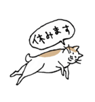 まったりごろごろ日本猫3（個別スタンプ：3）