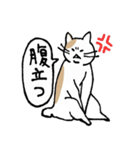 まったりごろごろ日本猫3（個別スタンプ：27）