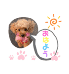 animals-6（個別スタンプ：1）