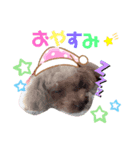 animals-6（個別スタンプ：2）