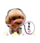 animals-6（個別スタンプ：3）