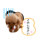 animals-6（個別スタンプ：7）