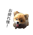 こばち（個別スタンプ：2）