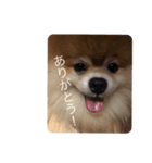 こばち（個別スタンプ：7）