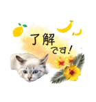 佐藤家ペット達のスタンプ（個別スタンプ：7）