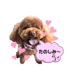 イヴちゃんスタンプー2（個別スタンプ：4）