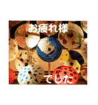 こころ休まる花と風景(17)（個別スタンプ：1）