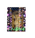こころ休まる花と風景(17)（個別スタンプ：2）