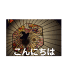 こころ休まる花と風景(17)（個別スタンプ：3）