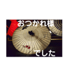 こころ休まる花と風景(17)（個別スタンプ：5）