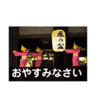 こころ休まる花と風景(17)（個別スタンプ：7）