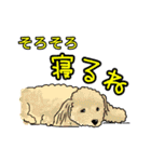 日々使える楽しい便利トーク（個別スタンプ：40）