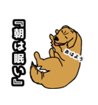 愛しき我が家の大型犬（個別スタンプ：1）