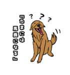 愛しき我が家の大型犬（個別スタンプ：7）