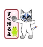 隈ねこ組2（個別スタンプ：20）