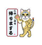 隈ねこ組2（個別スタンプ：21）