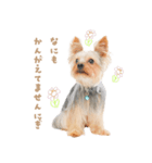 おにぎりスタンプbyKumicco（個別スタンプ：2）