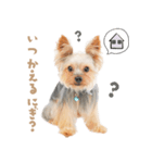 おにぎりスタンプbyKumicco（個別スタンプ：7）