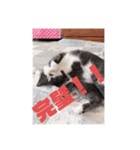 第4弾です。（個別スタンプ：2）