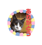 第4弾です。（個別スタンプ：3）