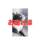第4弾です。（個別スタンプ：5）