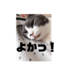 第4弾です。（個別スタンプ：6）