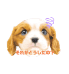 えいとらいる_1（個別スタンプ：5）
