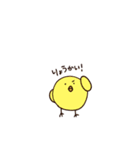 にわとりさんとひよこさんとたまご（個別スタンプ：8）