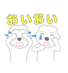 BOA BOA ＆ PU PU(日本語)（個別スタンプ：19）