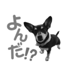 モノクロチャンス＆スカイ（個別スタンプ：8）