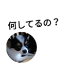 シャイニースタンプ第4弾【トリミング後】（個別スタンプ：2）