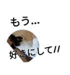 シャイニースタンプ第4弾【トリミング後】（個別スタンプ：5）