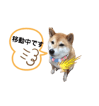 しょこたんです。（個別スタンプ：5）