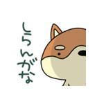関西弁柴犬のゆるーいスタンプ（個別スタンプ：1）