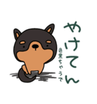関西弁柴犬のゆるーいスタンプ（個別スタンプ：40）