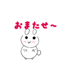 びっくりラビット基本セット（個別スタンプ：14）