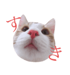 おいも3（個別スタンプ：1）