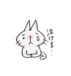しふぉんのネコ好きスタンプ3（個別スタンプ：18）