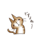 しふぉんのネコ好きスタンプ3（個別スタンプ：20）