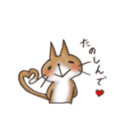 しふぉんのネコ好きスタンプ3（個別スタンプ：30）
